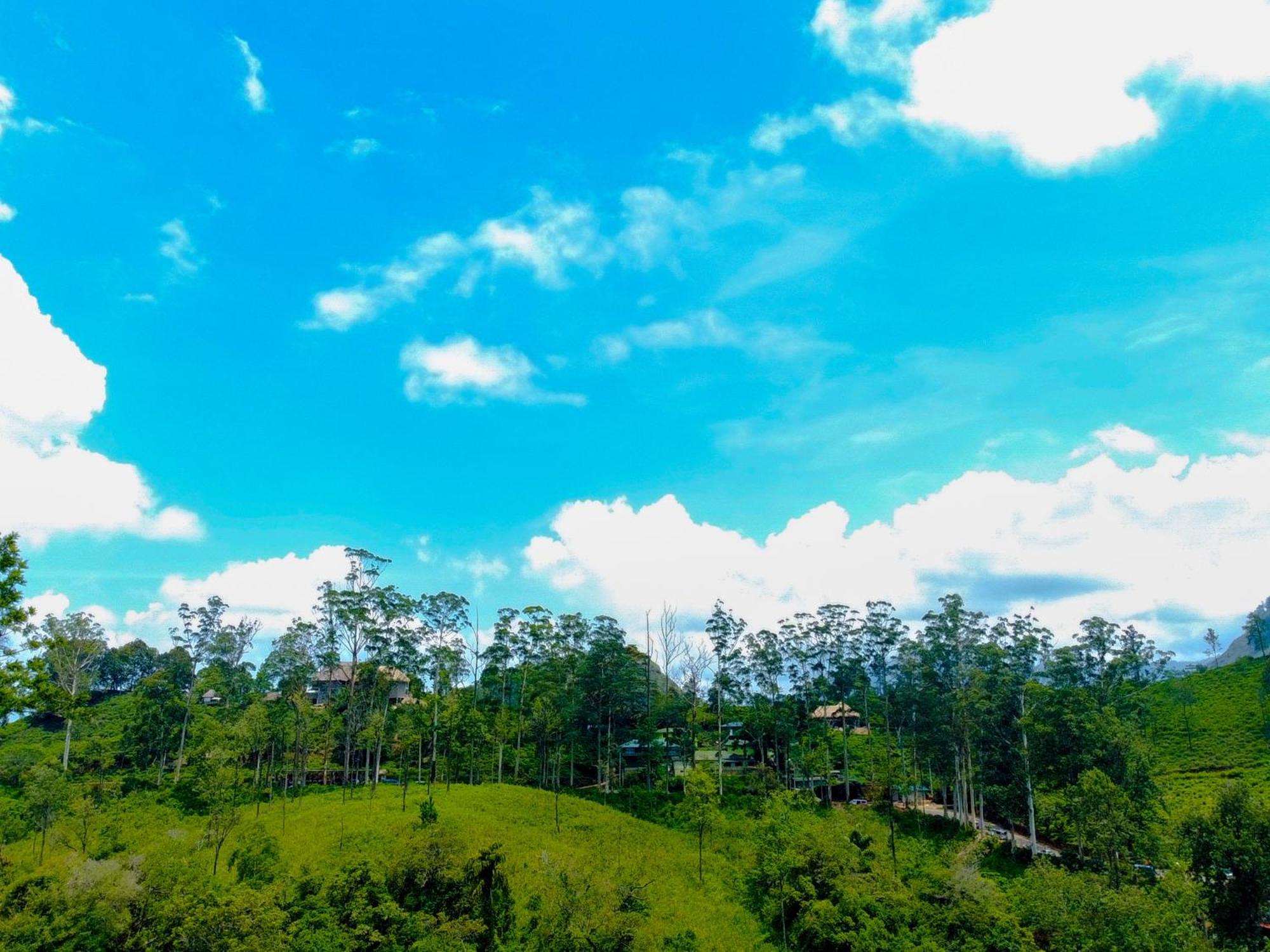 Nine Arch Wood Cabin エッラ エクステリア 写真